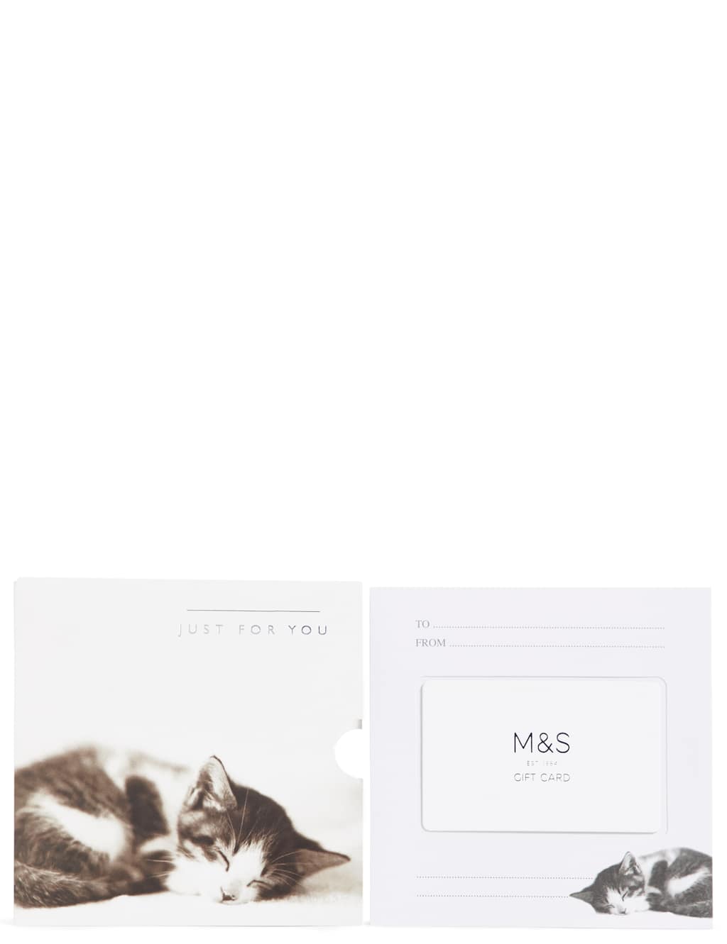 Cute Kitten Gift Card
