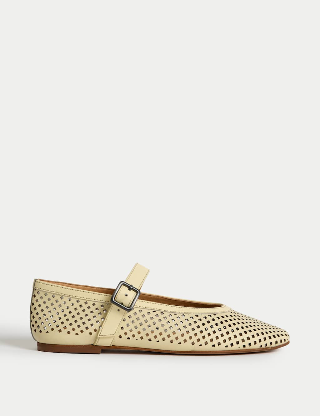 Leather Flat Ballet Pumps
