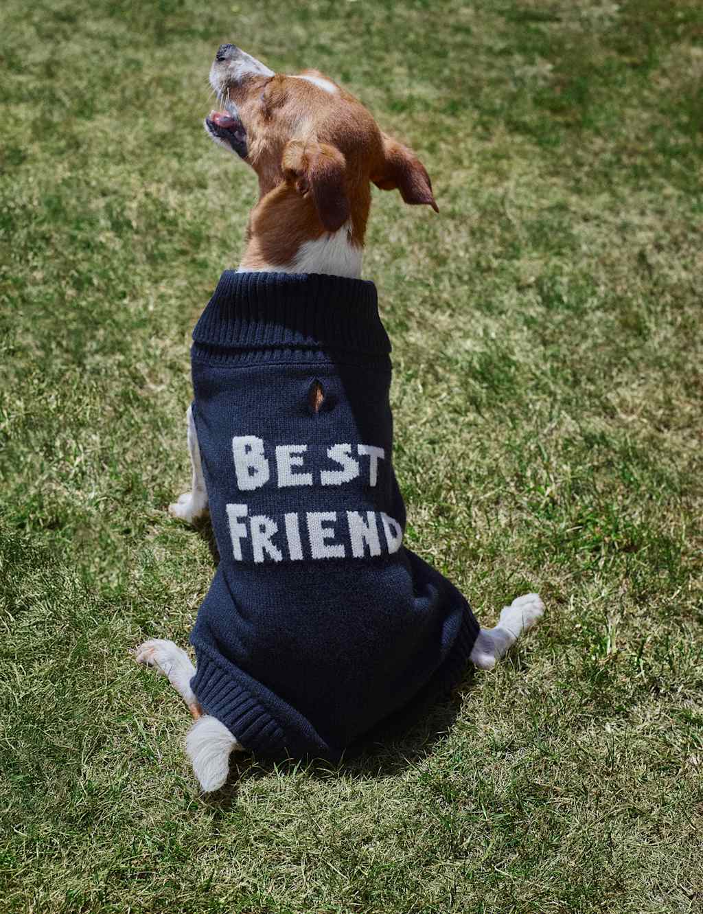 M&S x Bella Freud Lambswool Blend Dog Jumper Navy
