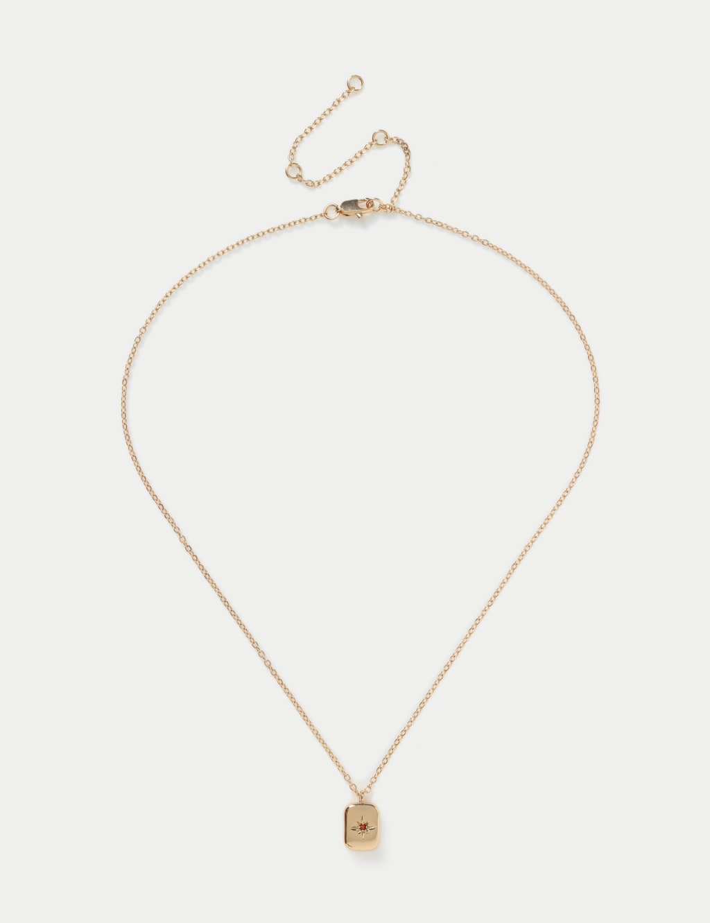 14ct Gold Plated January Birthstone Necklace