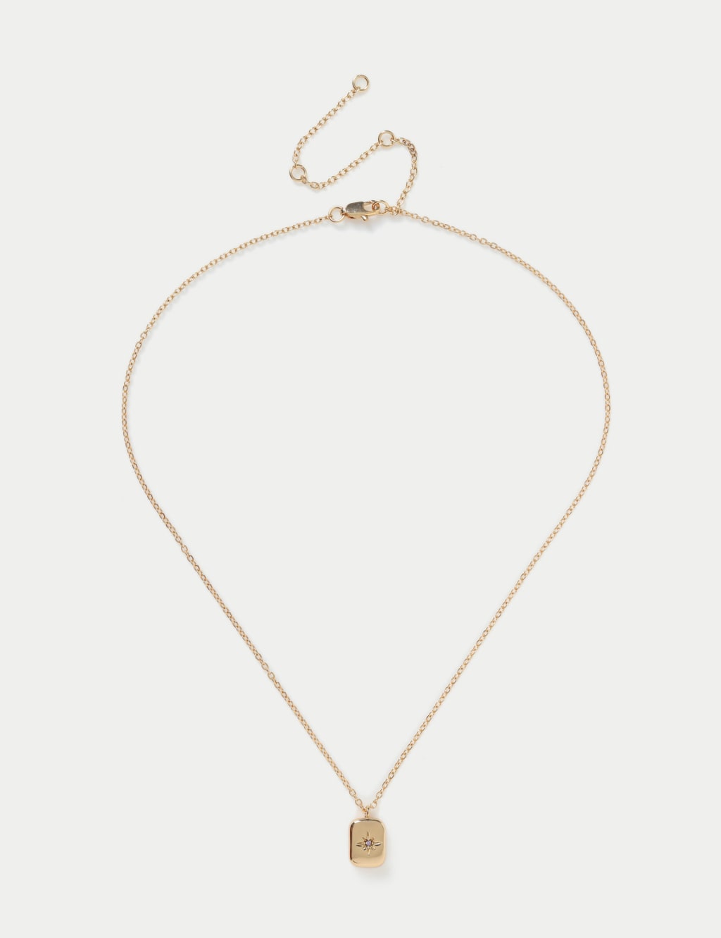 14ct Gold Plated February Birthstone Necklace