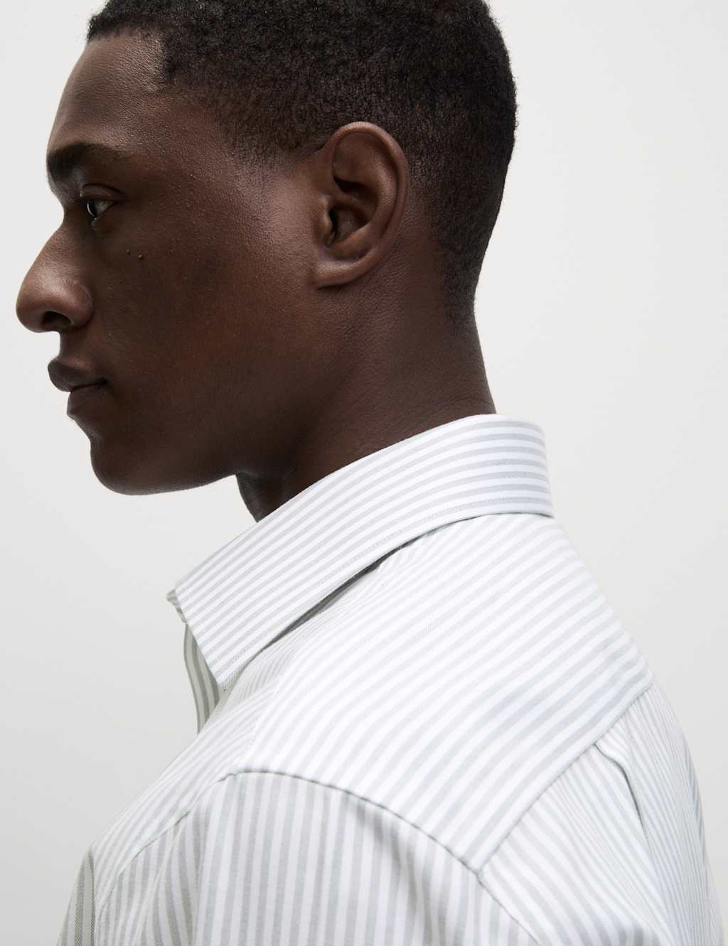 Regular Fit Ultimate Non Iron Cotton Striped Shirt