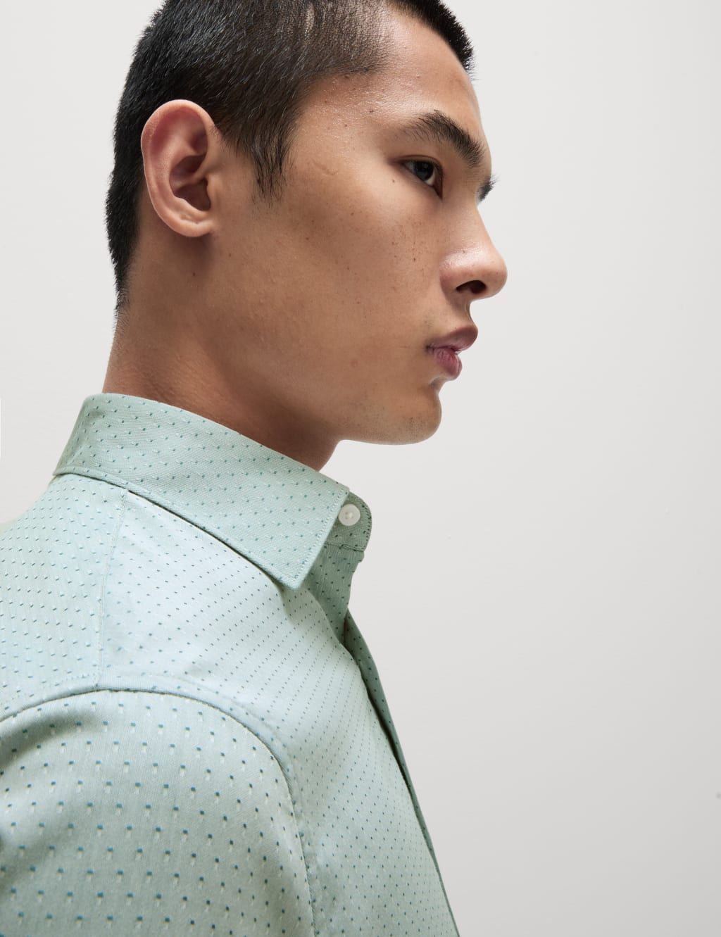 Regular Fit Pure Cotton Dobby Spot Shirt