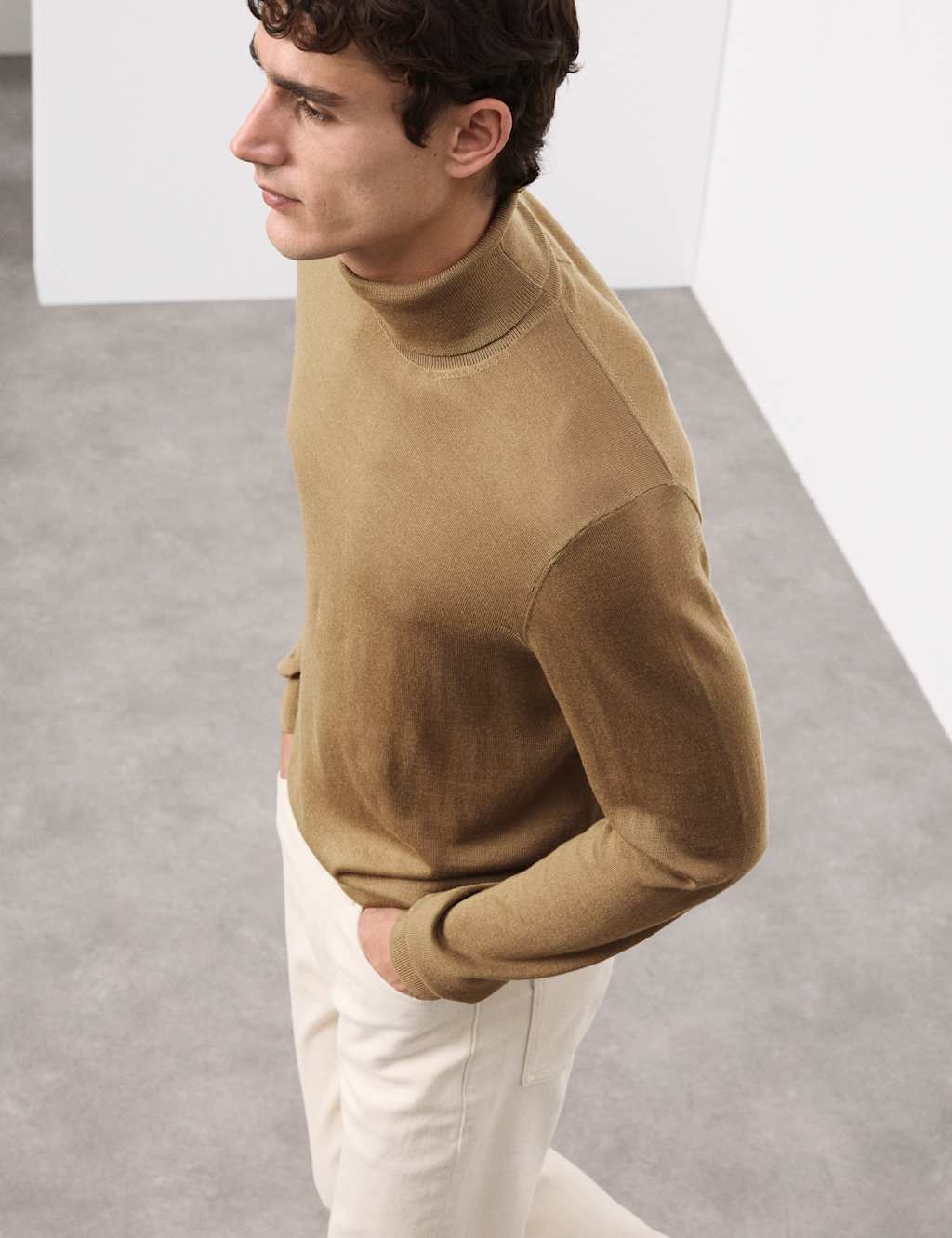 Autograph Pure Extra Fine Merino Wool Roll Neck Jumper Camel