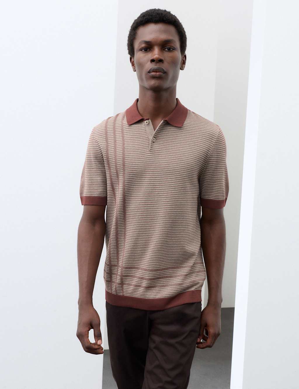 Autograph Men's Regular Fit Pure Cotton Knitted Polo Shirt - L - Chestnut