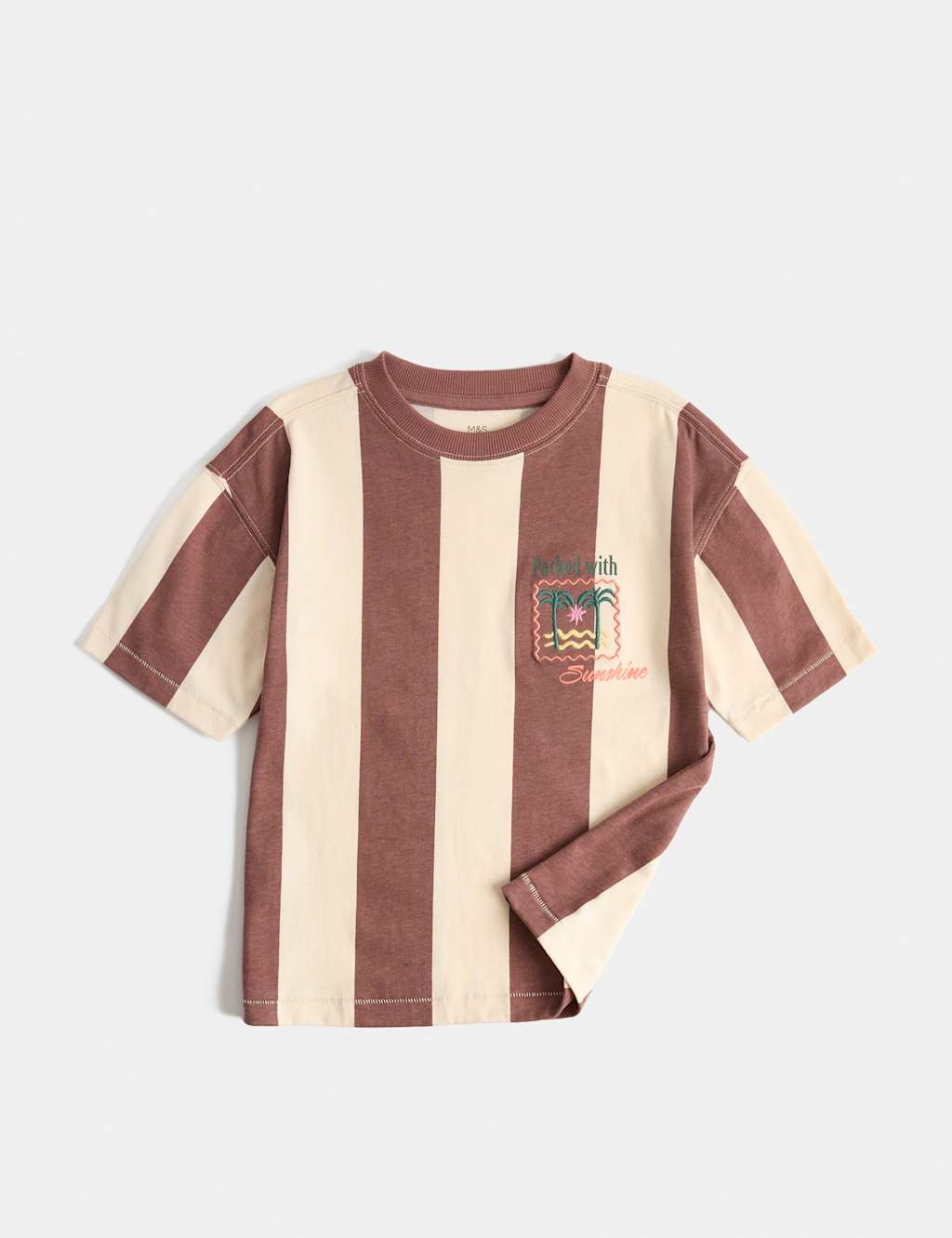 M&S Boys Pure Cotton Striped Graphic T-Shirt (2-8 Yrs) - 2-3 Years - Brown Mix