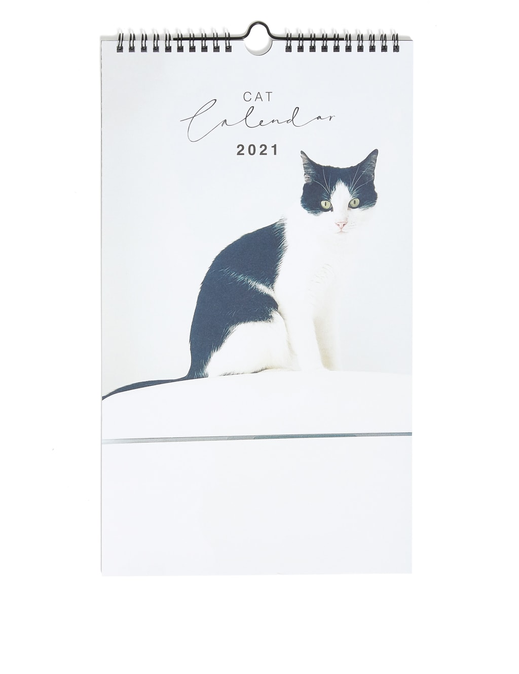 Cat Lovers 2025 Photographic Calendar - Medium