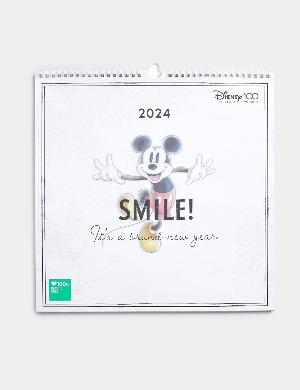 2025 Calendar & Family Organiser - Disney 100 Design