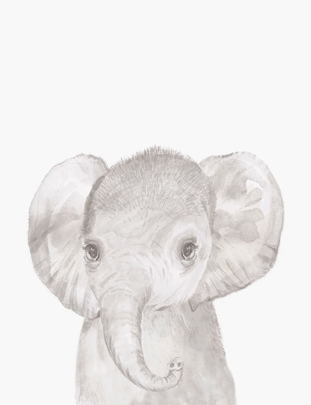 Welcome to the World Wall Art - Elephant