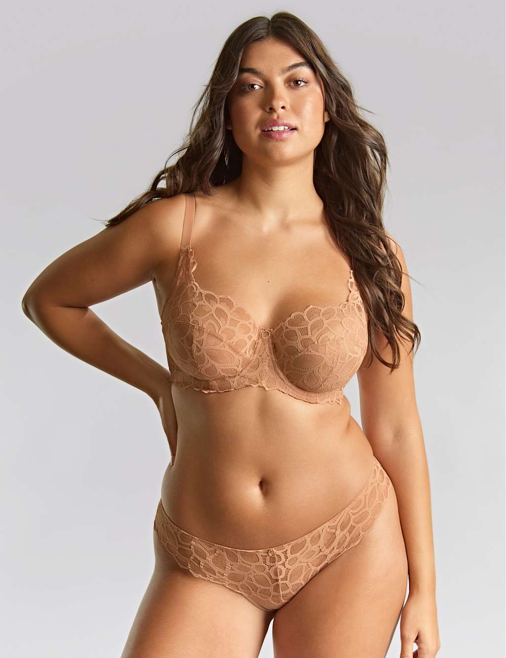 Panache Allure Lace Wired Full Cup Bra D-J Honey