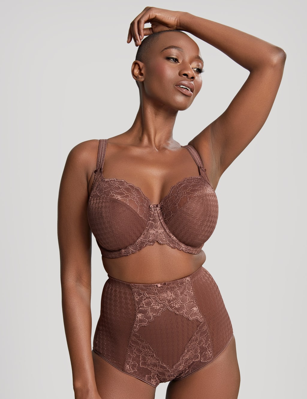 Envy Mesh & Lace Full Briefs