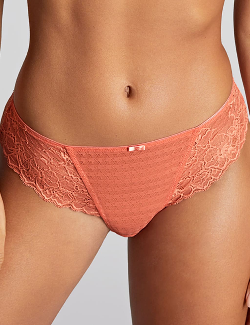 Envy Brazilian Mesh & Lace Knickers