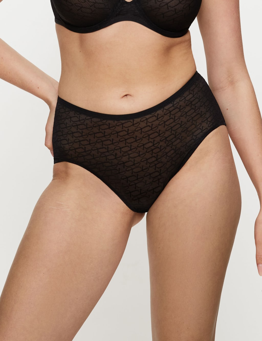 Signature Sheer High Waisted Full Briefs
