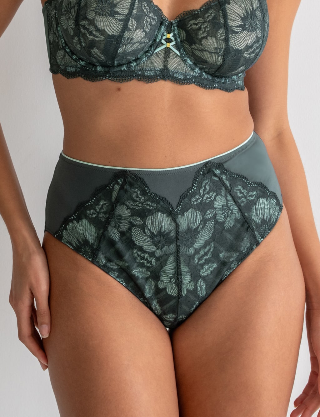 Atelier Lace Full Briefs