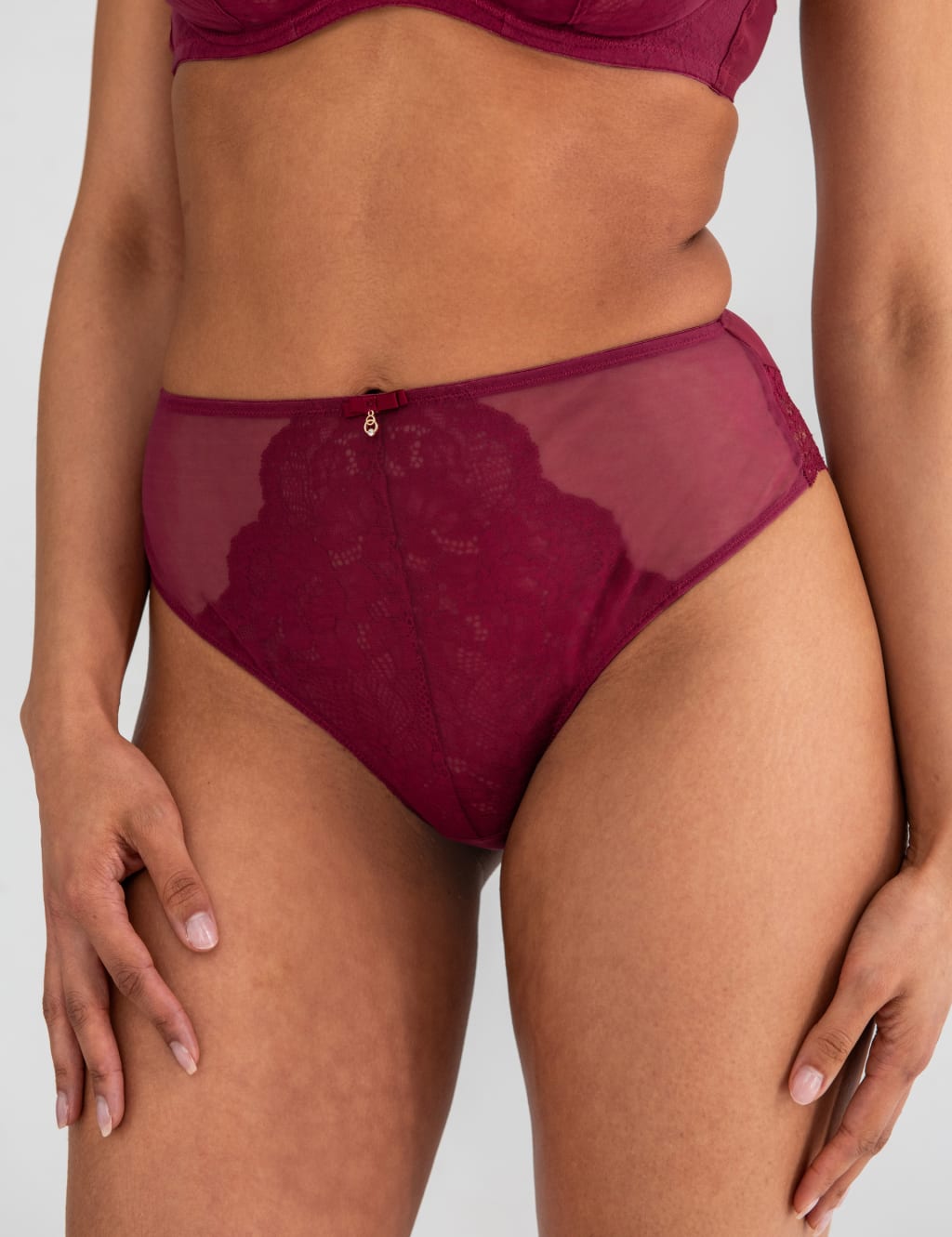 Milan Mesh & Lace High Waisted Briefs