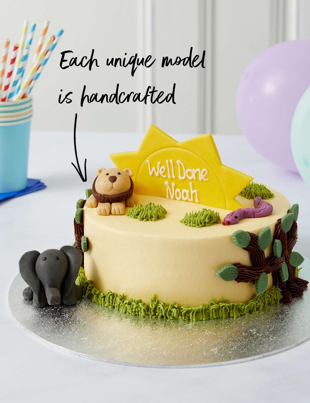 Personalised Safari Cake (Serves 20)