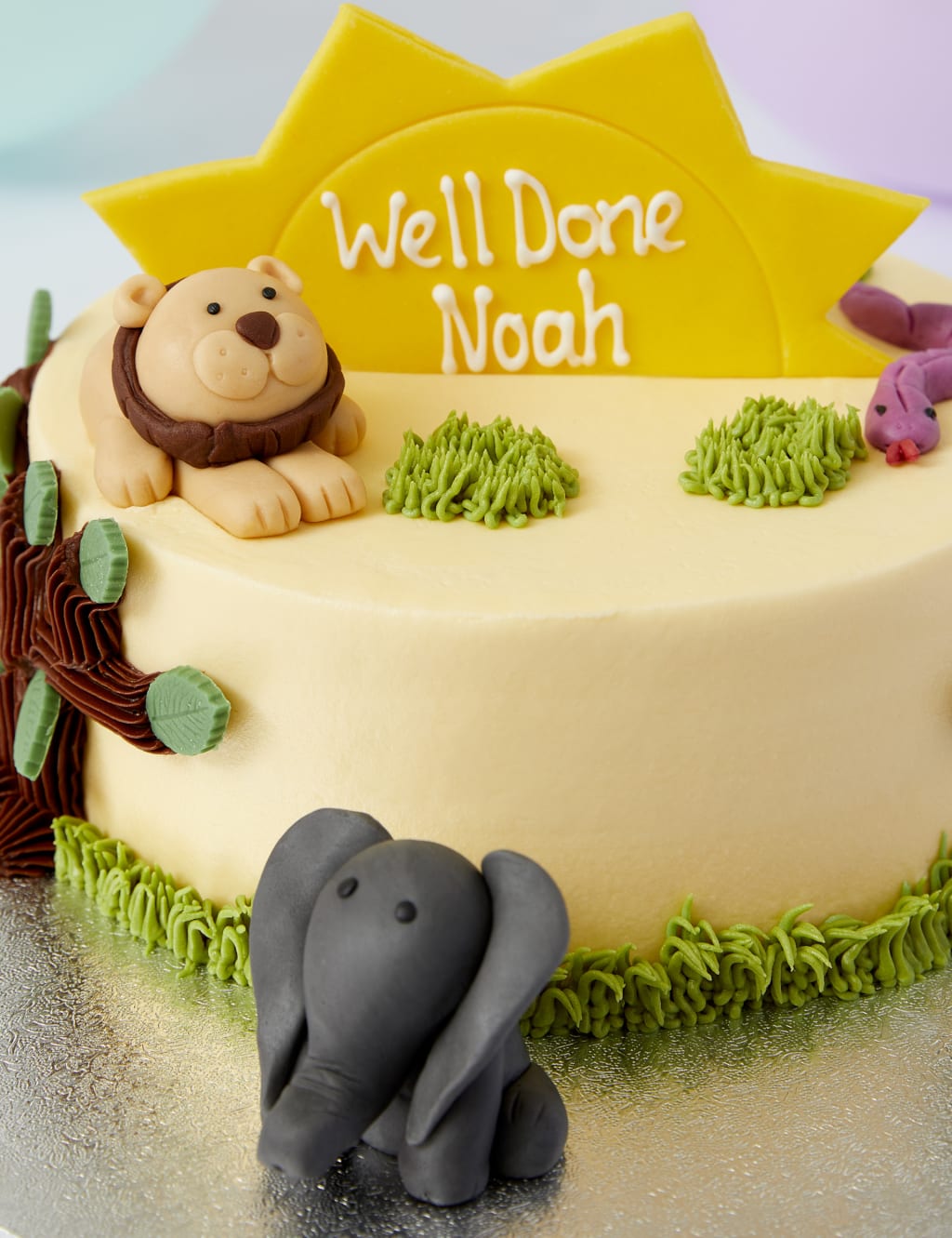 Personalised Safari Cake (Serves 20)