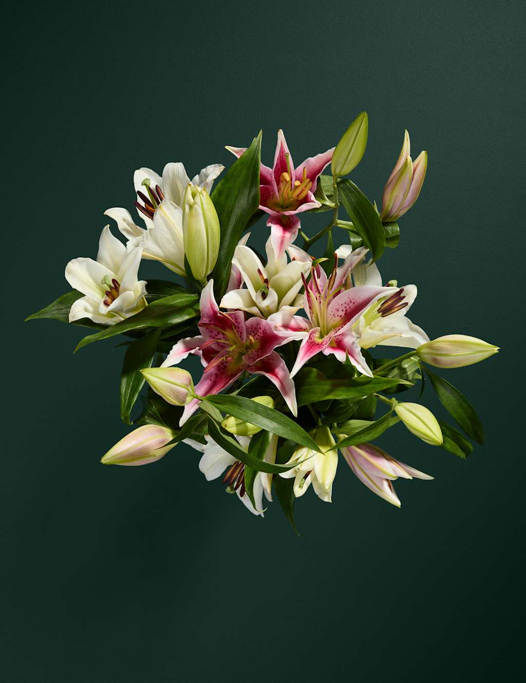 Lily Abundance Bouquet