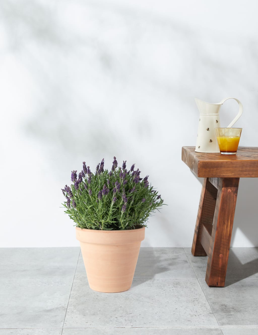 Lavender in Terracotta