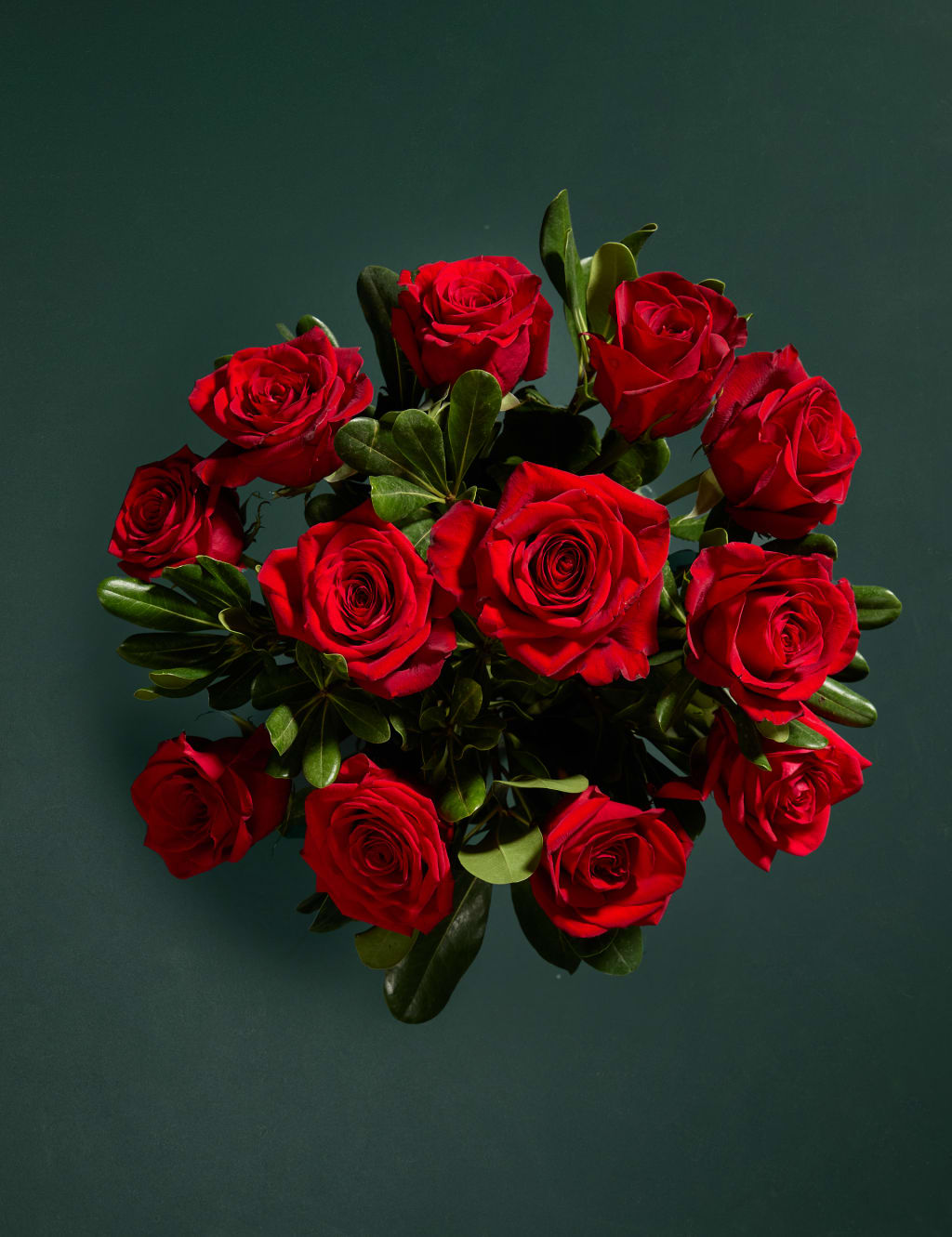 Dozen Rose Bouquet