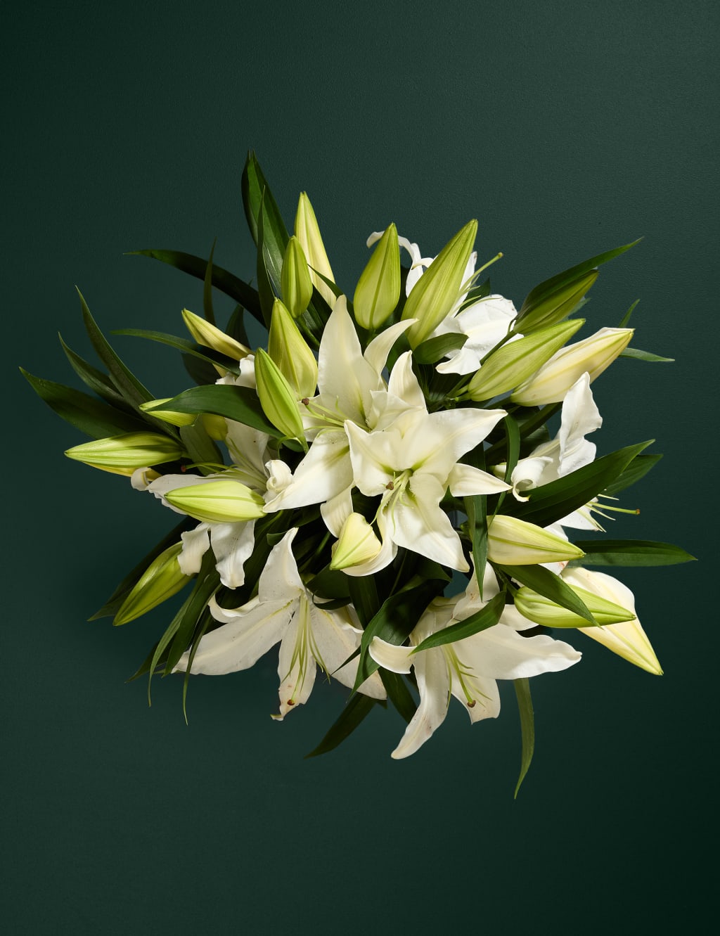 White Oriental Lily Abundance Bouquet