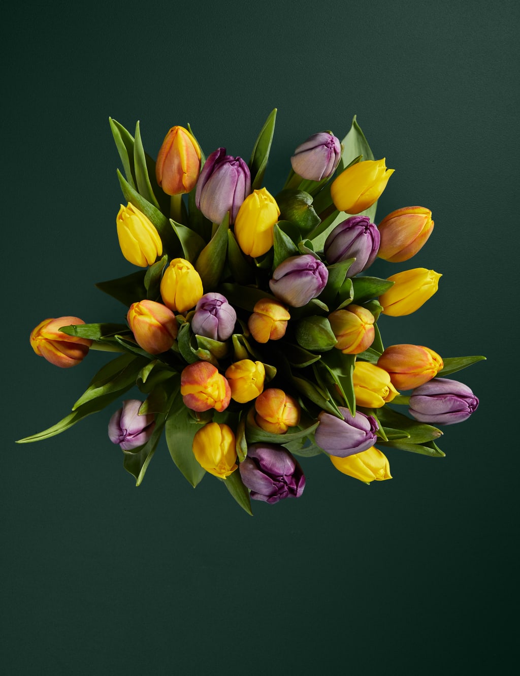 Bright & Beautiful British Tulip Bouquet