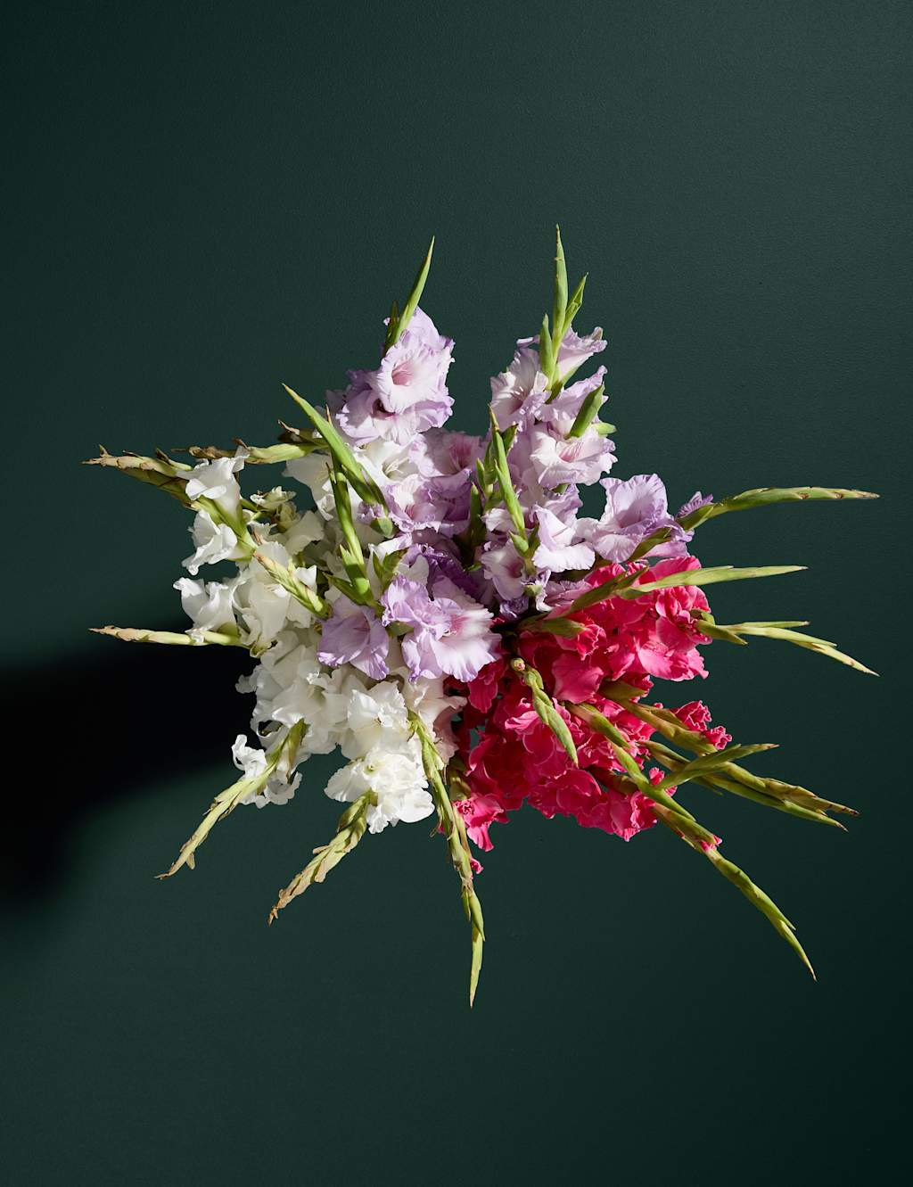 British Gladioli Abundance Bouquet