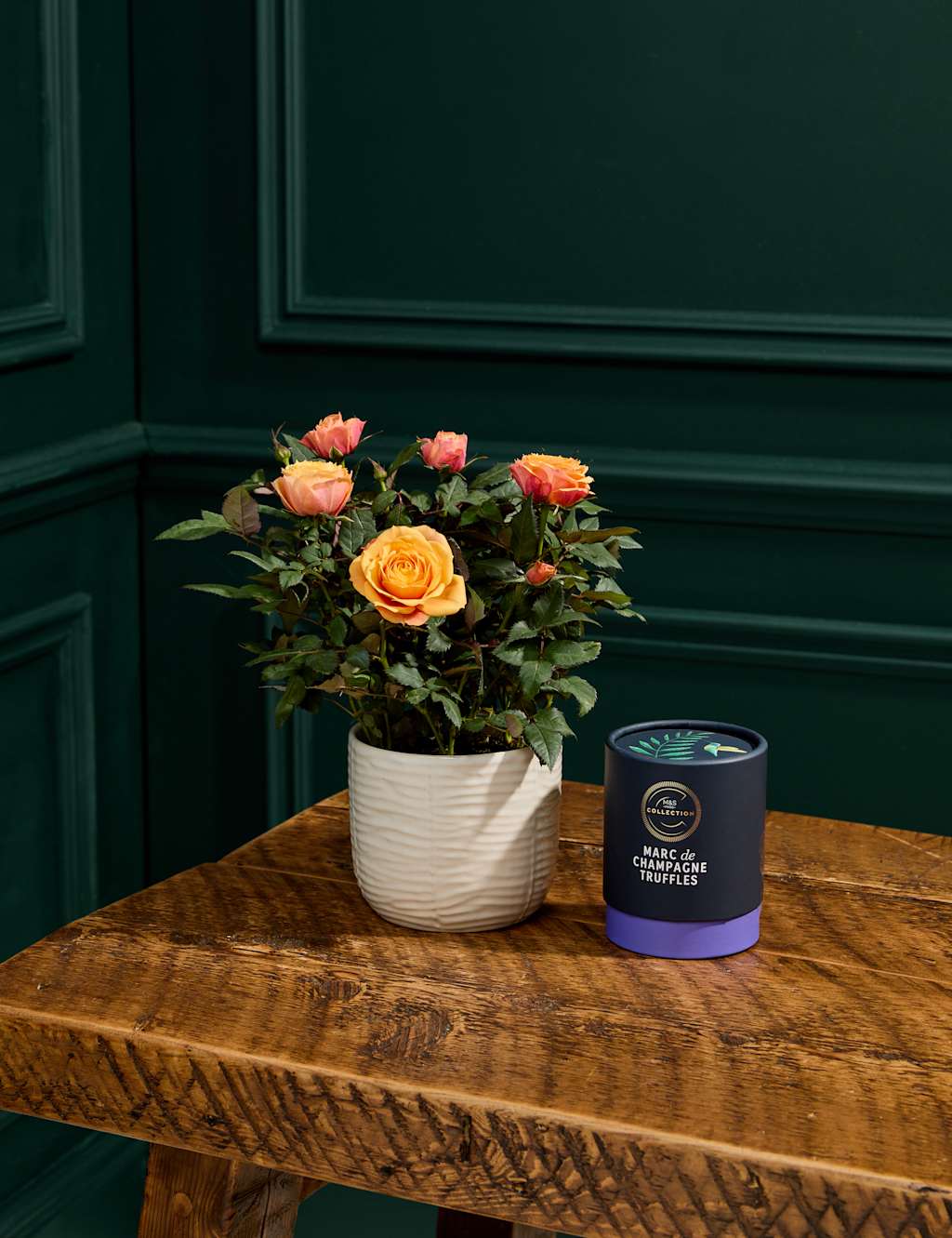 Rose Plant with Marc De Champagne Truffles