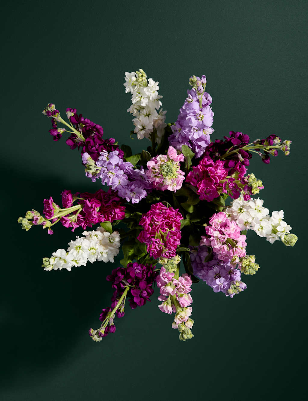 Stock Abundance Bouquet