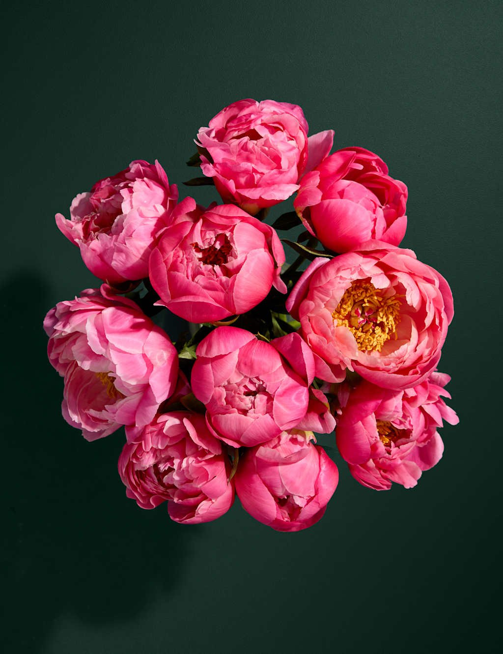 Seasonal Coral Peony Bouquet