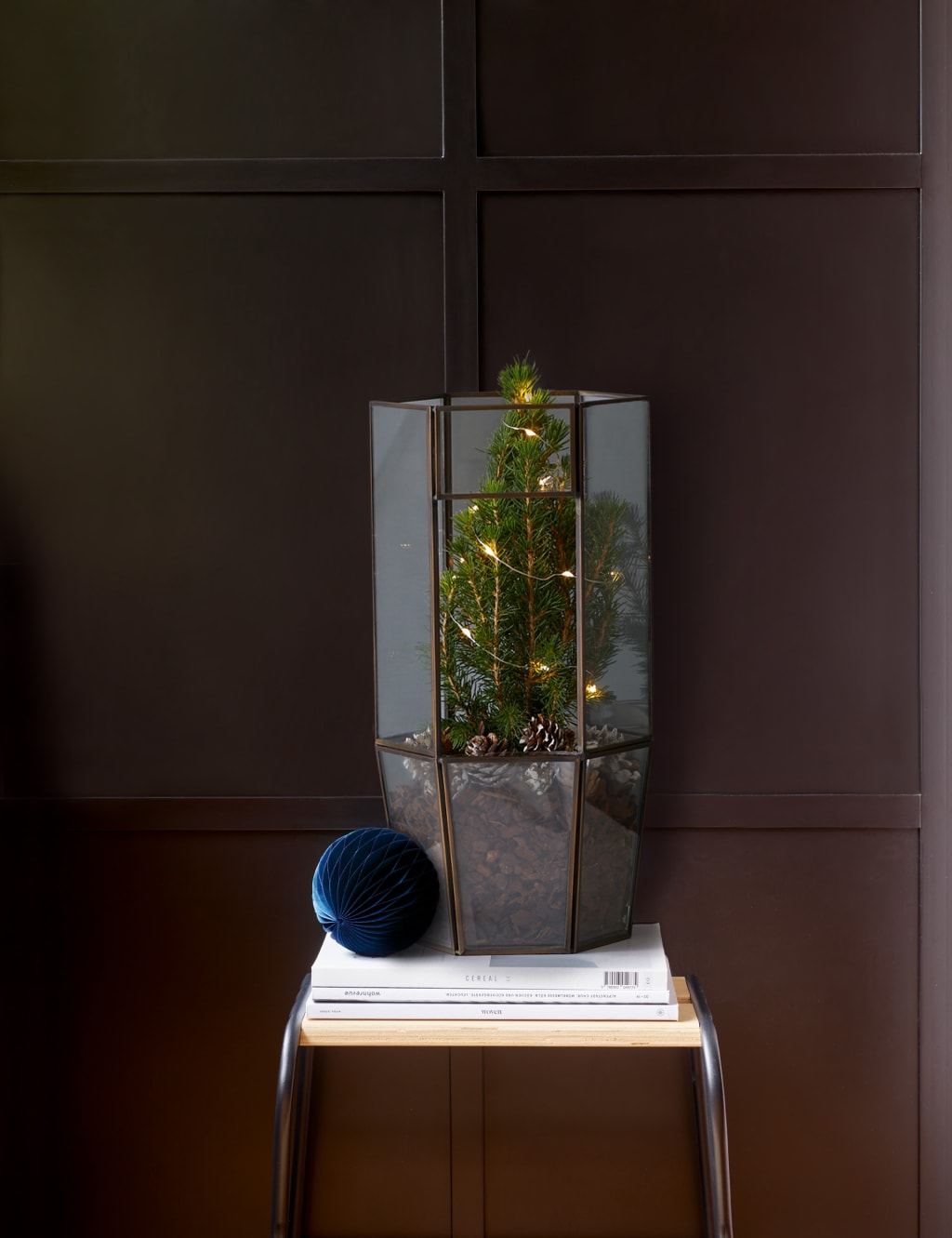 M&SMakeYourOwnLightUpTreeTerrarium image