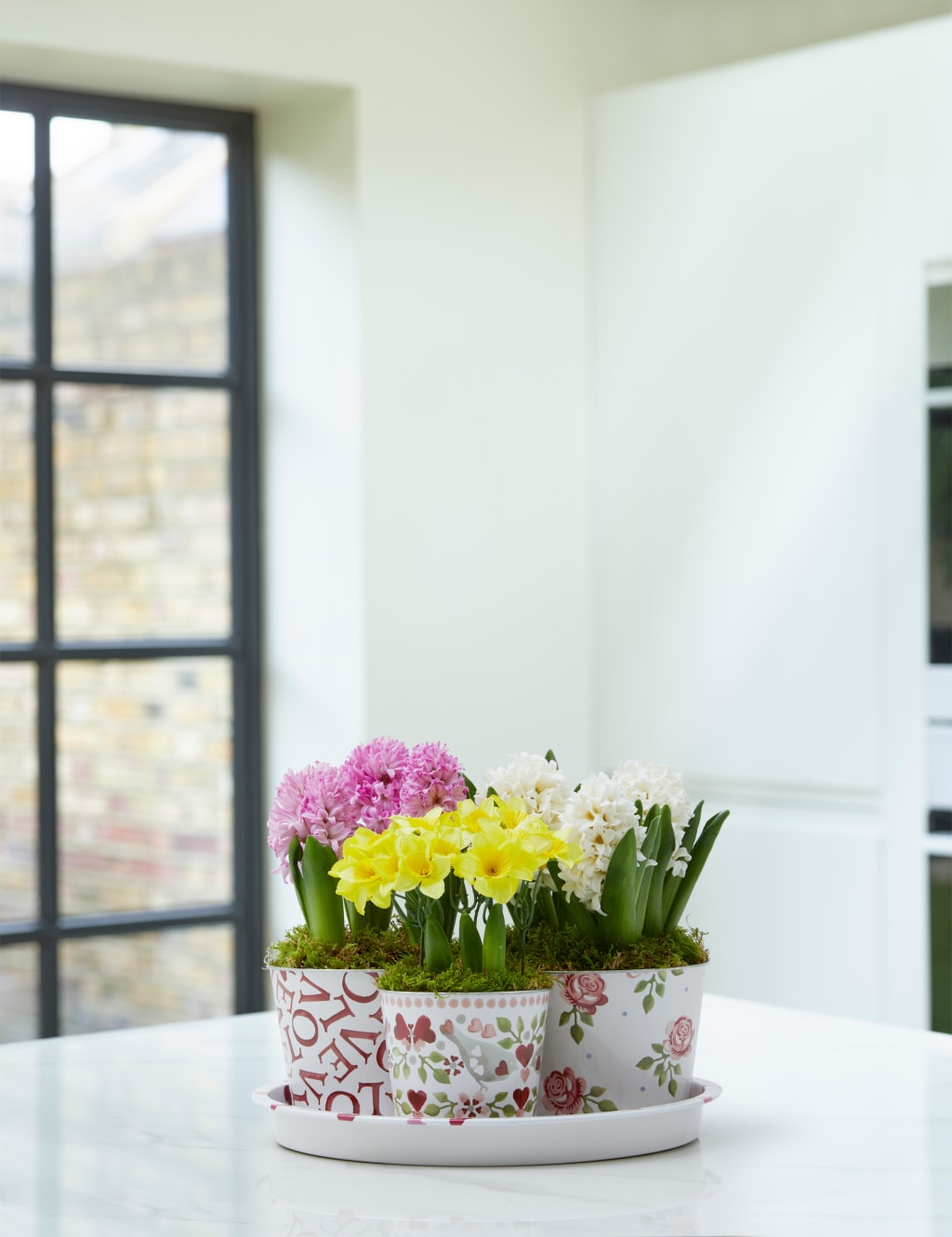 Emma Bridgewater Bulb Collection image