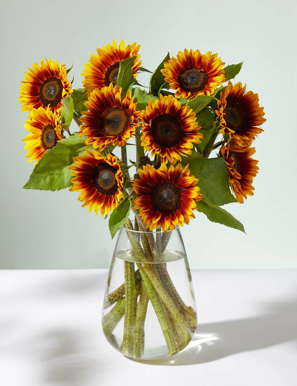 Speciality Sunflower Abundance Bouquet