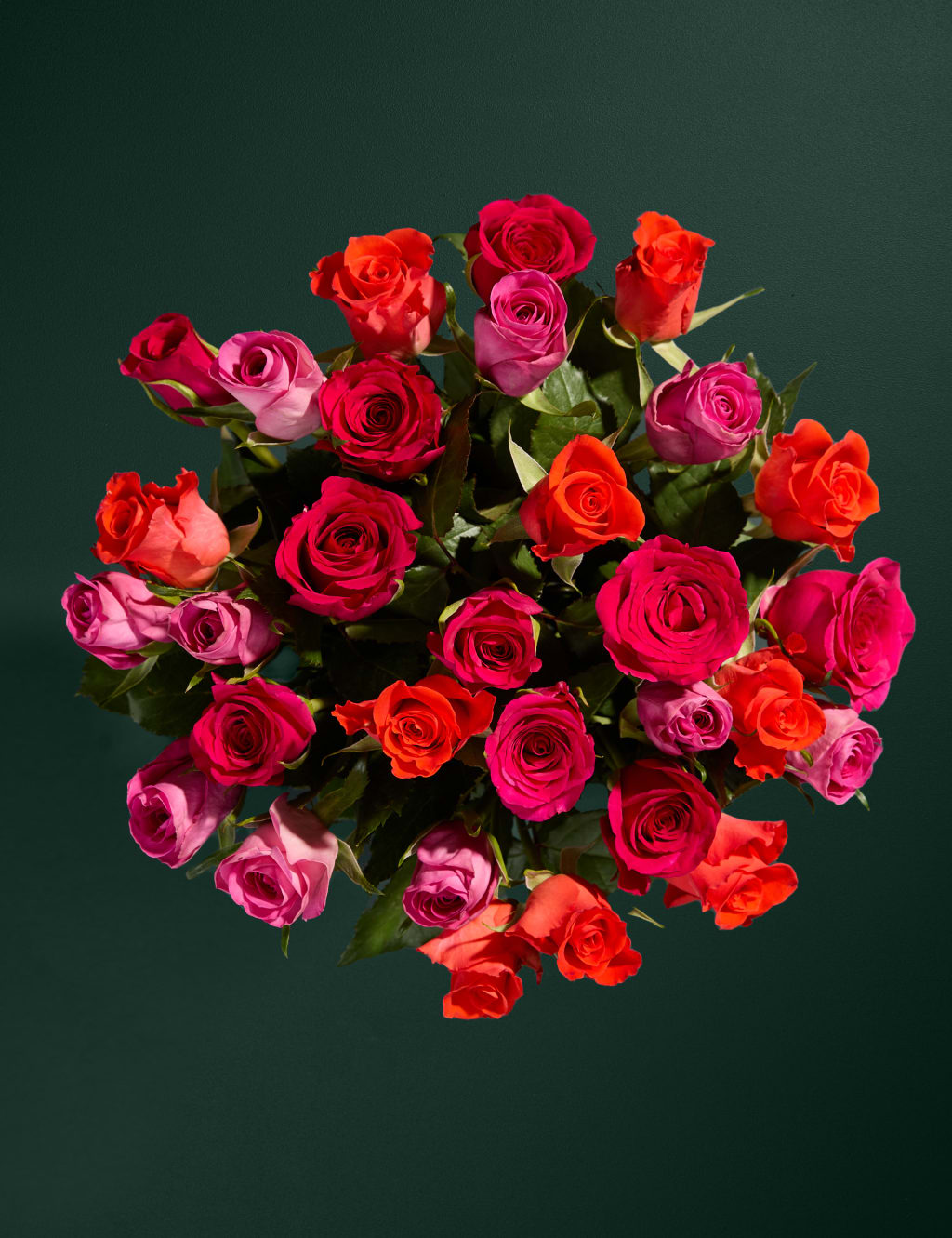 Radiant Rose Abundance Bouquet with Swiss Chocolates