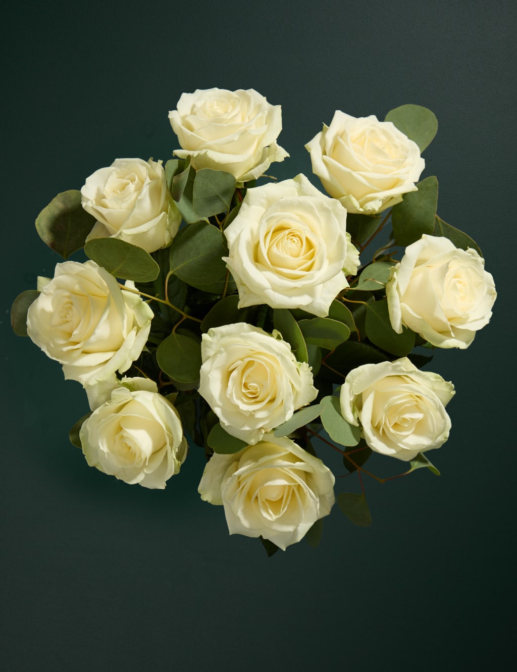 Celebration Rose Bouquet with Champagne & Truffles