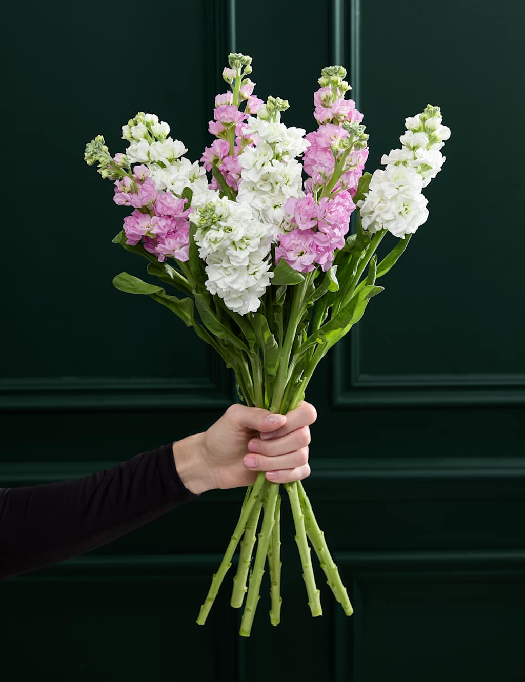 M&S Flower Market Stock Abundance Bouquet image