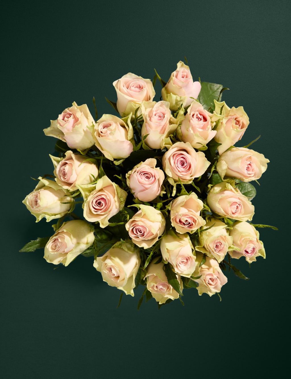 Blush Rose Abundance Bouquet with Swiss Chocolates & Prosecco