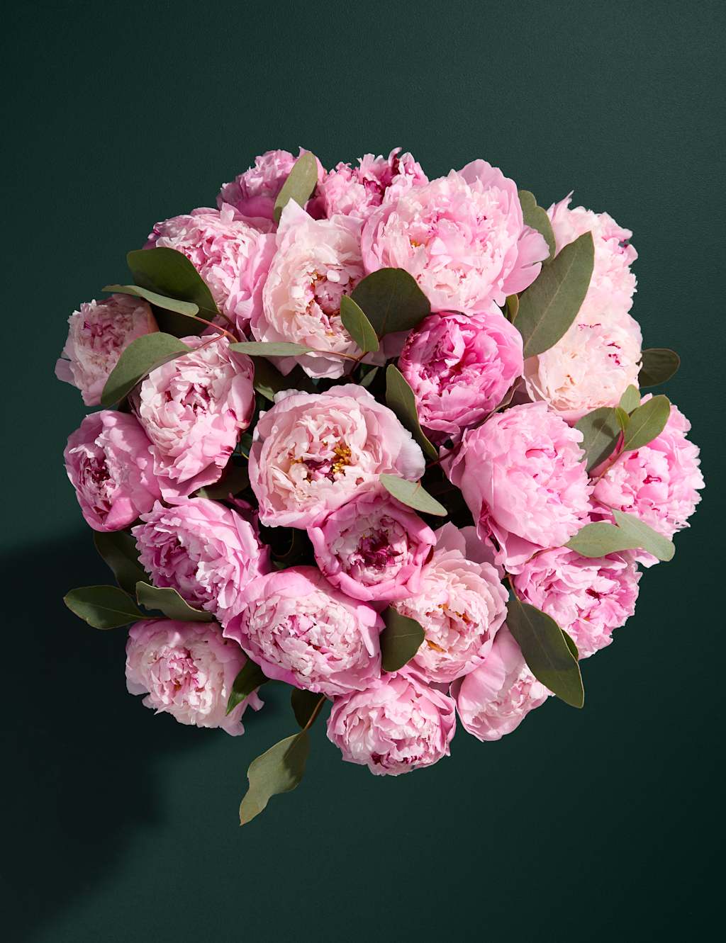 British Pink Peony Bouquet with Prosecco & Belgian Chocolates