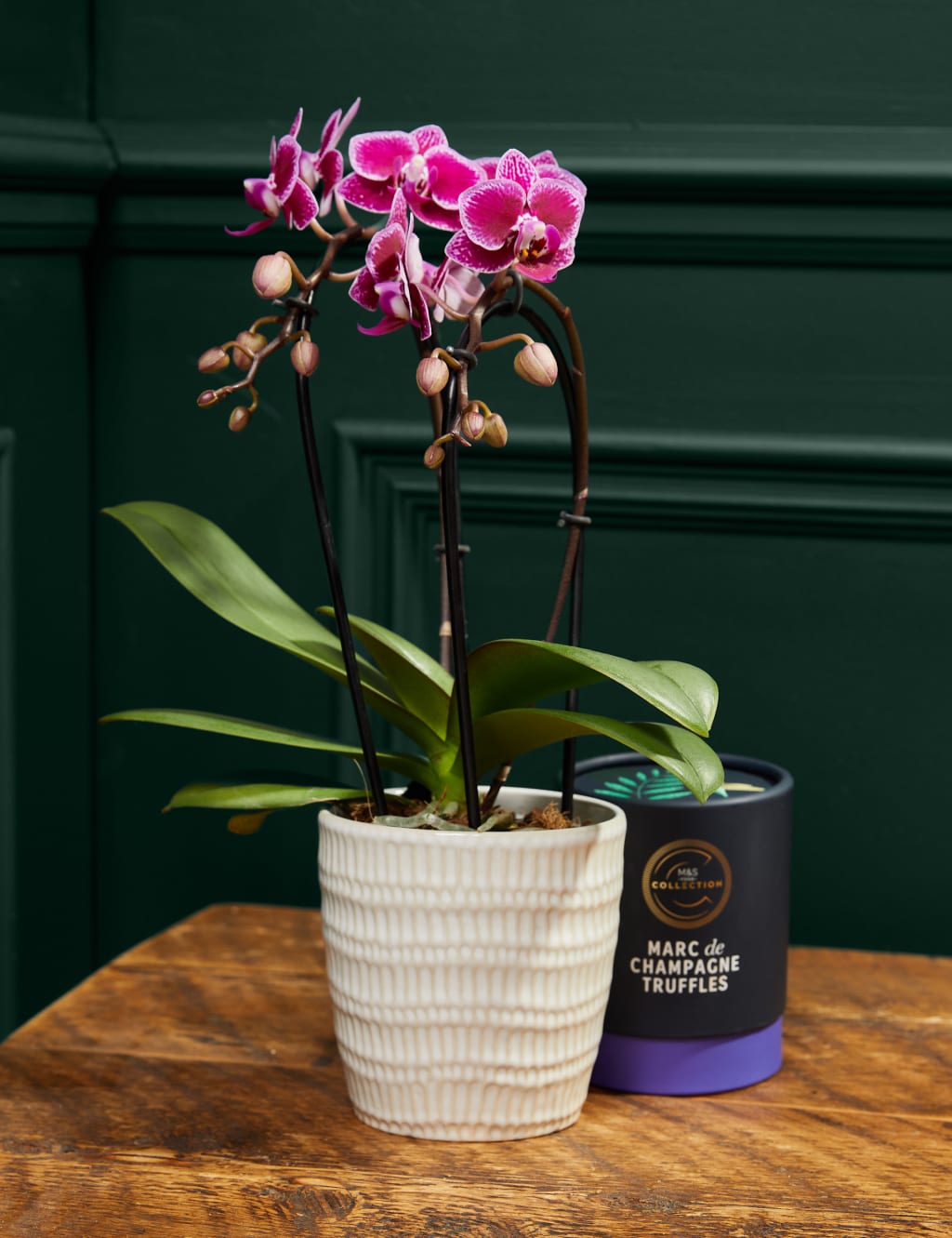 Miniature Purple Cascade Orchid with Marc De Champagne Truffles