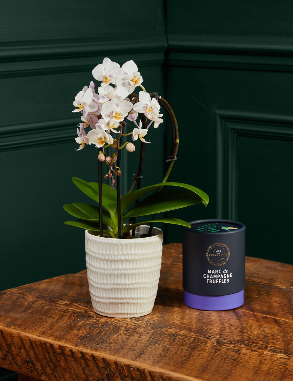 Miniature White Orchid with Marc de Champagne Truffles