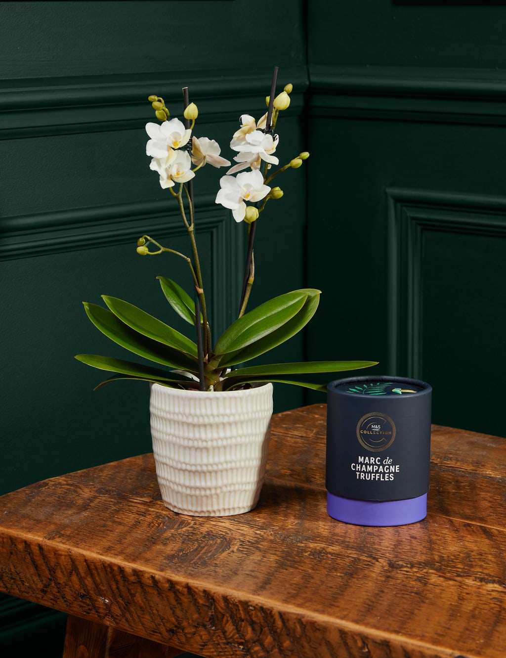 Miniature White Orchid with Marc de Champagne Truffles