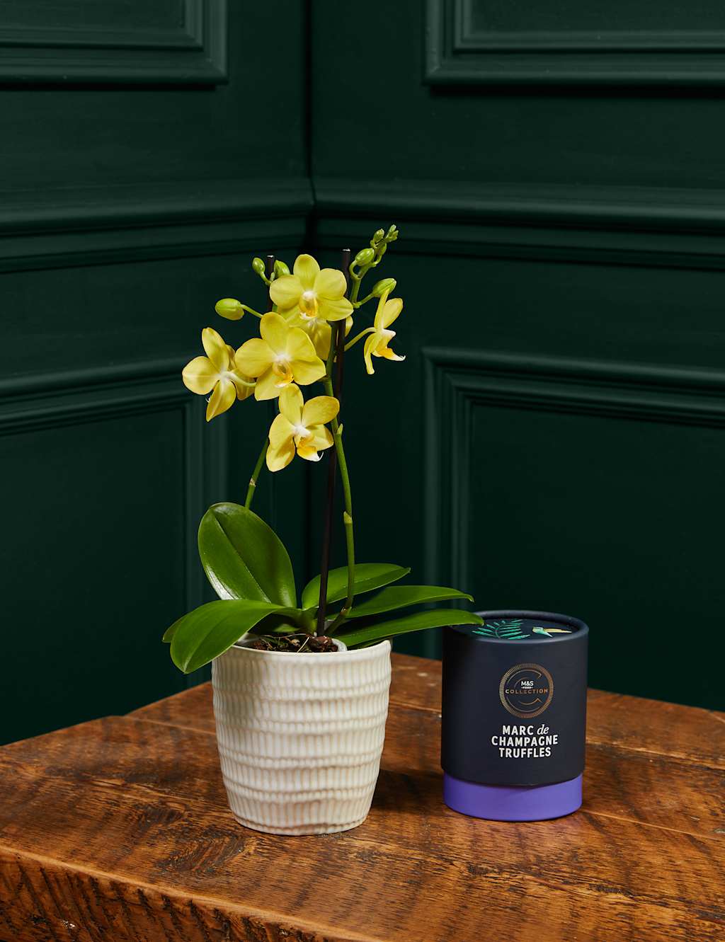 Minature Twin-Stem Phaelanopsis Orchid in Ceramic with Marc du Champagne Truffles 125g Bundle