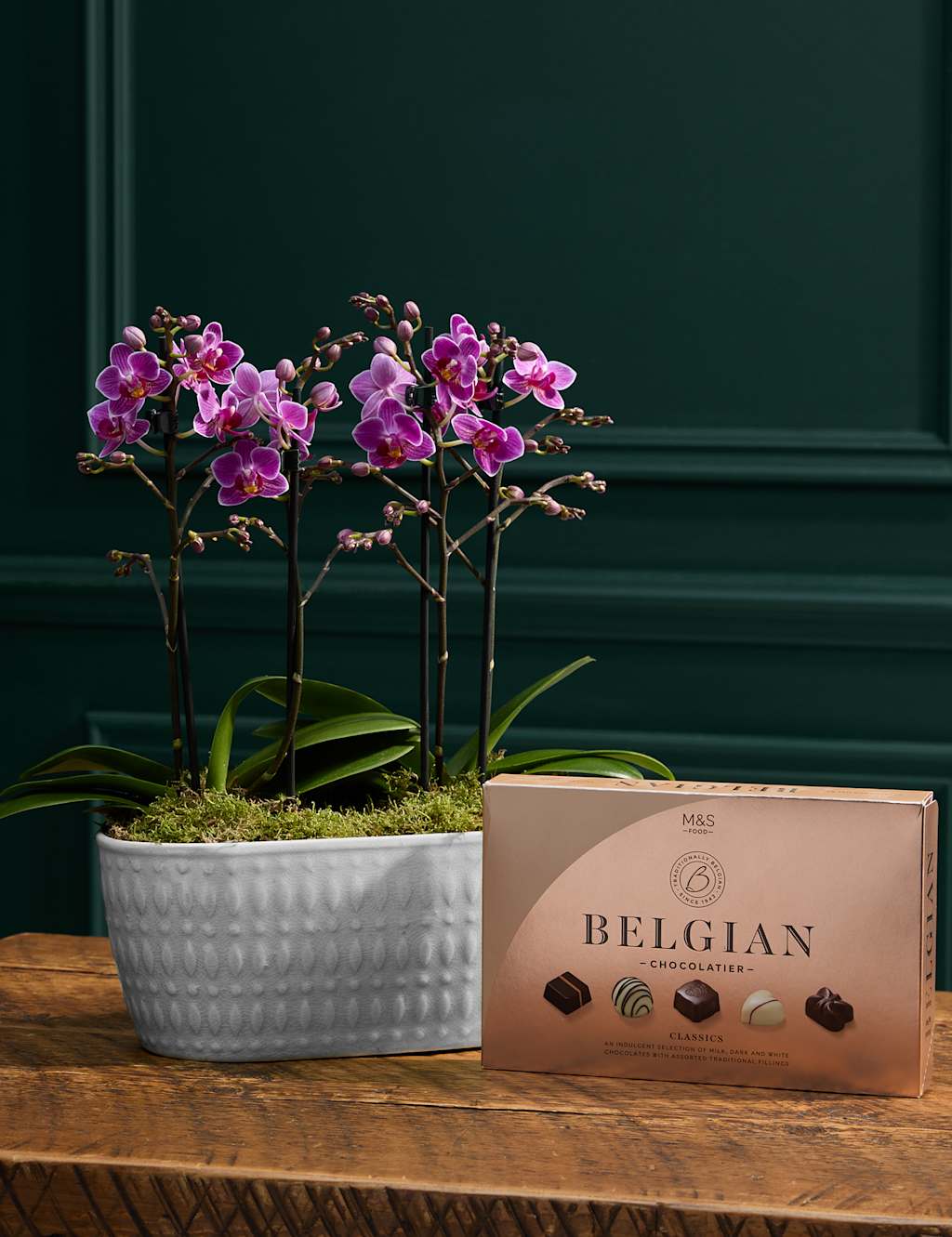 Duo Purple Phalaenopsis Orchid & Belgian Chocolates Bundle