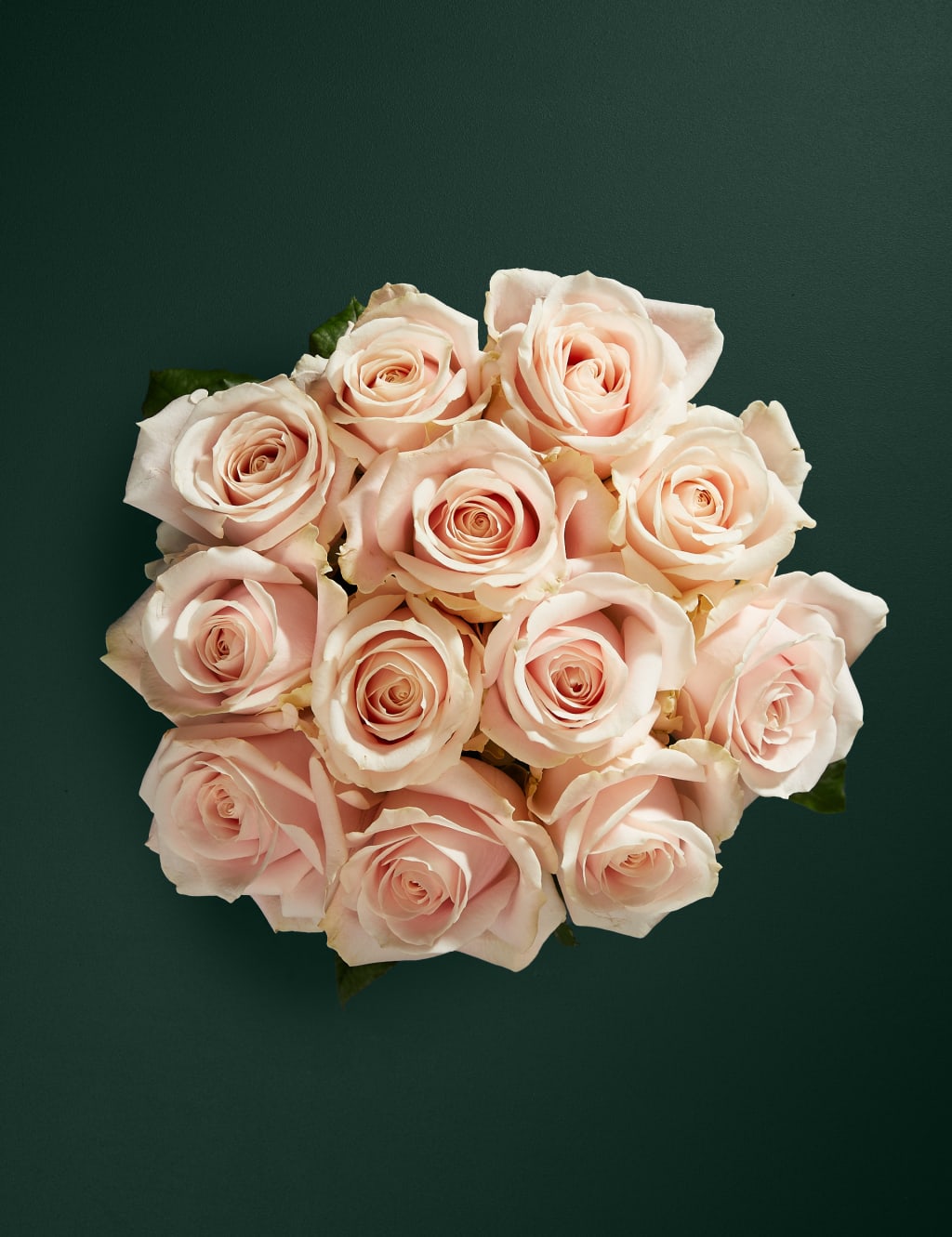Pink Sweet Avalanche™ Rose Bouquet