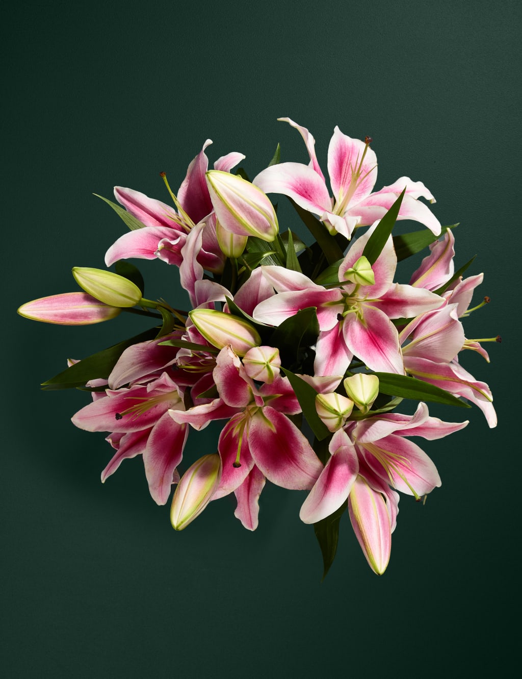 Pink Oriental Lily Abundance Bouquet