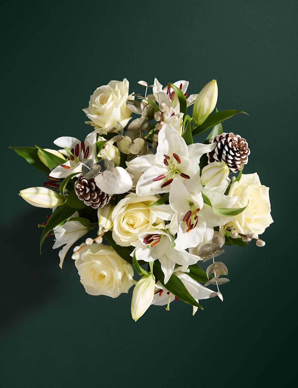 Christmas Flowers & Plants at M&S