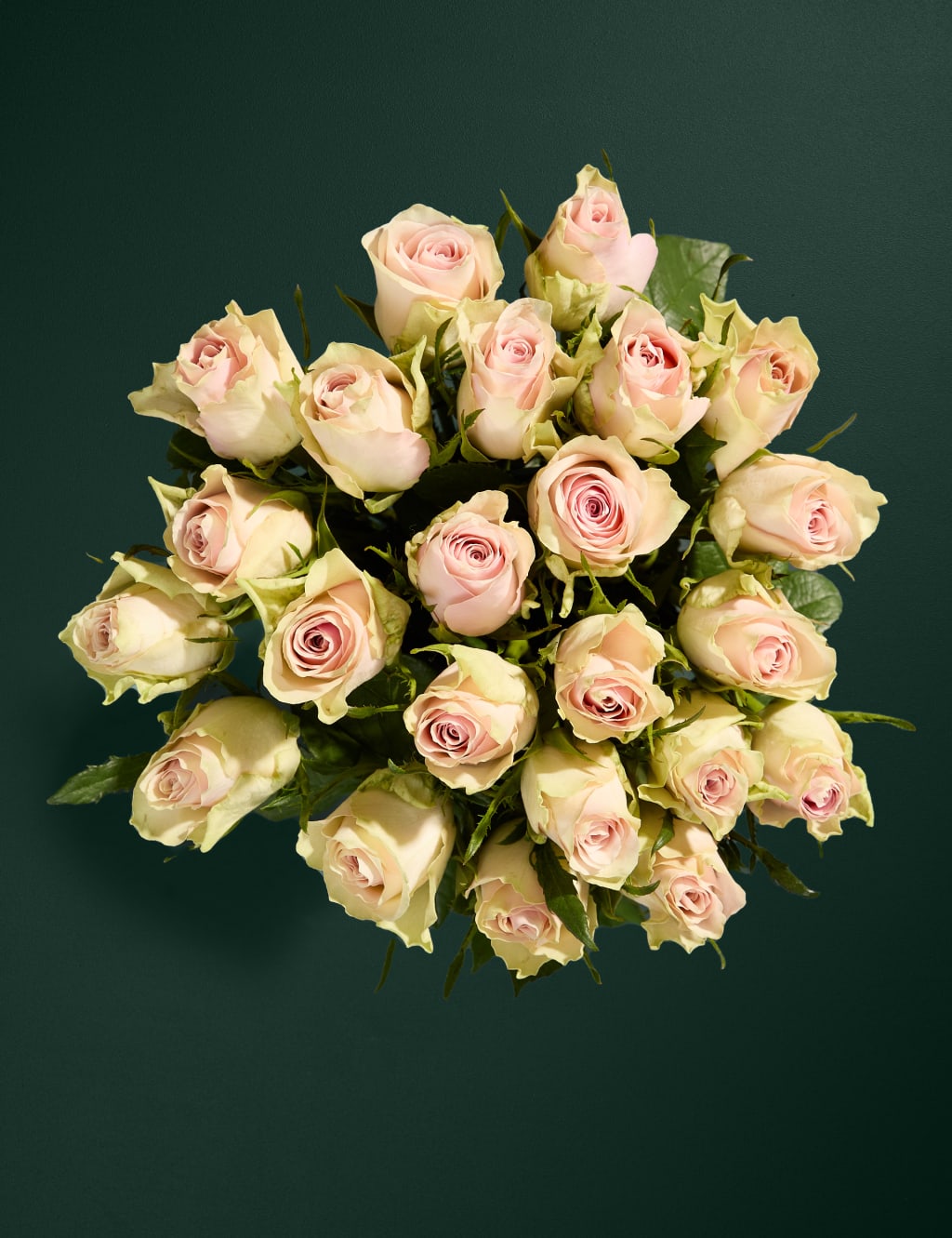 Blush Rose Abundance with Belgian Chocolates