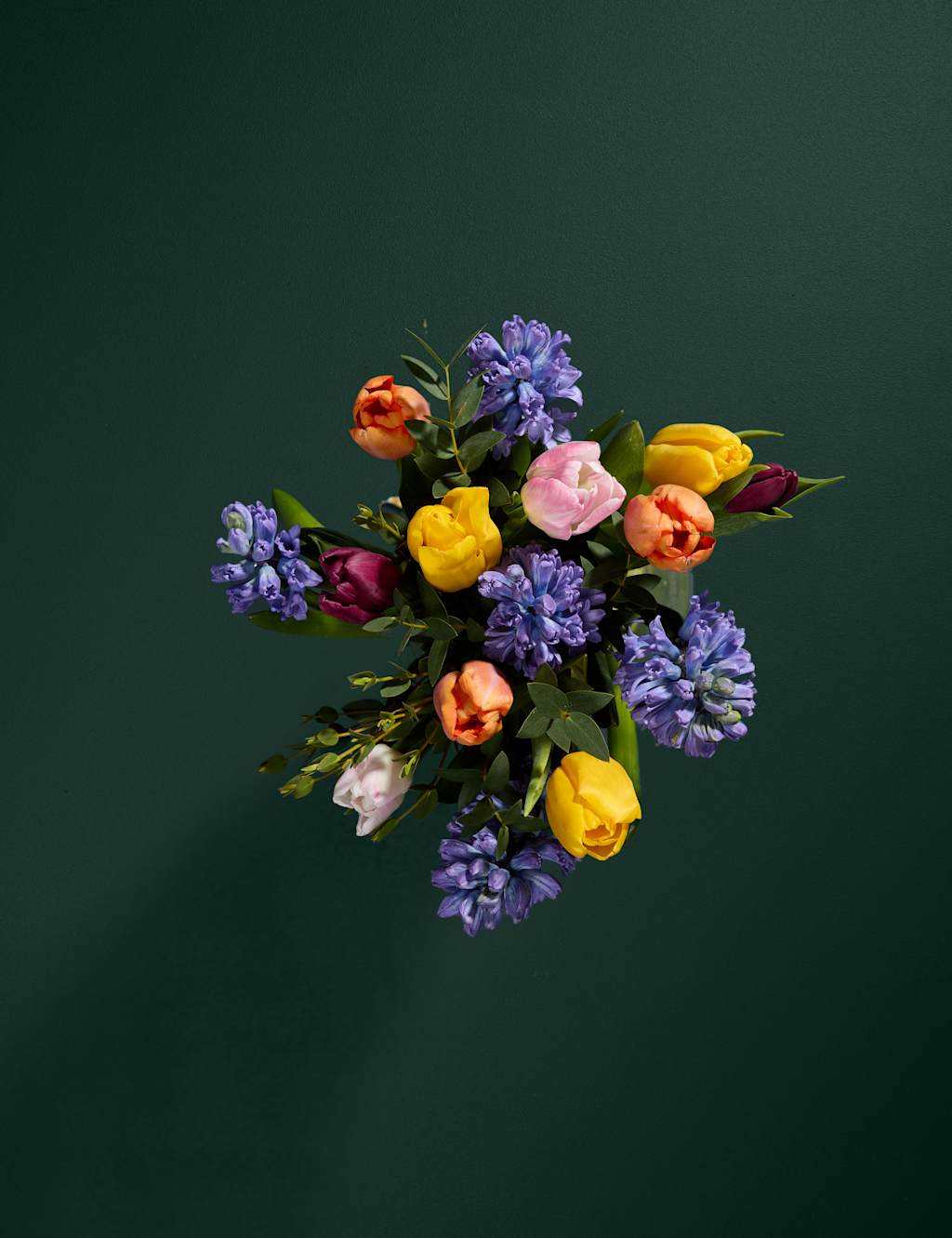 Hyacinth & Tulip Bouquet with Marc De Champagne Truffles