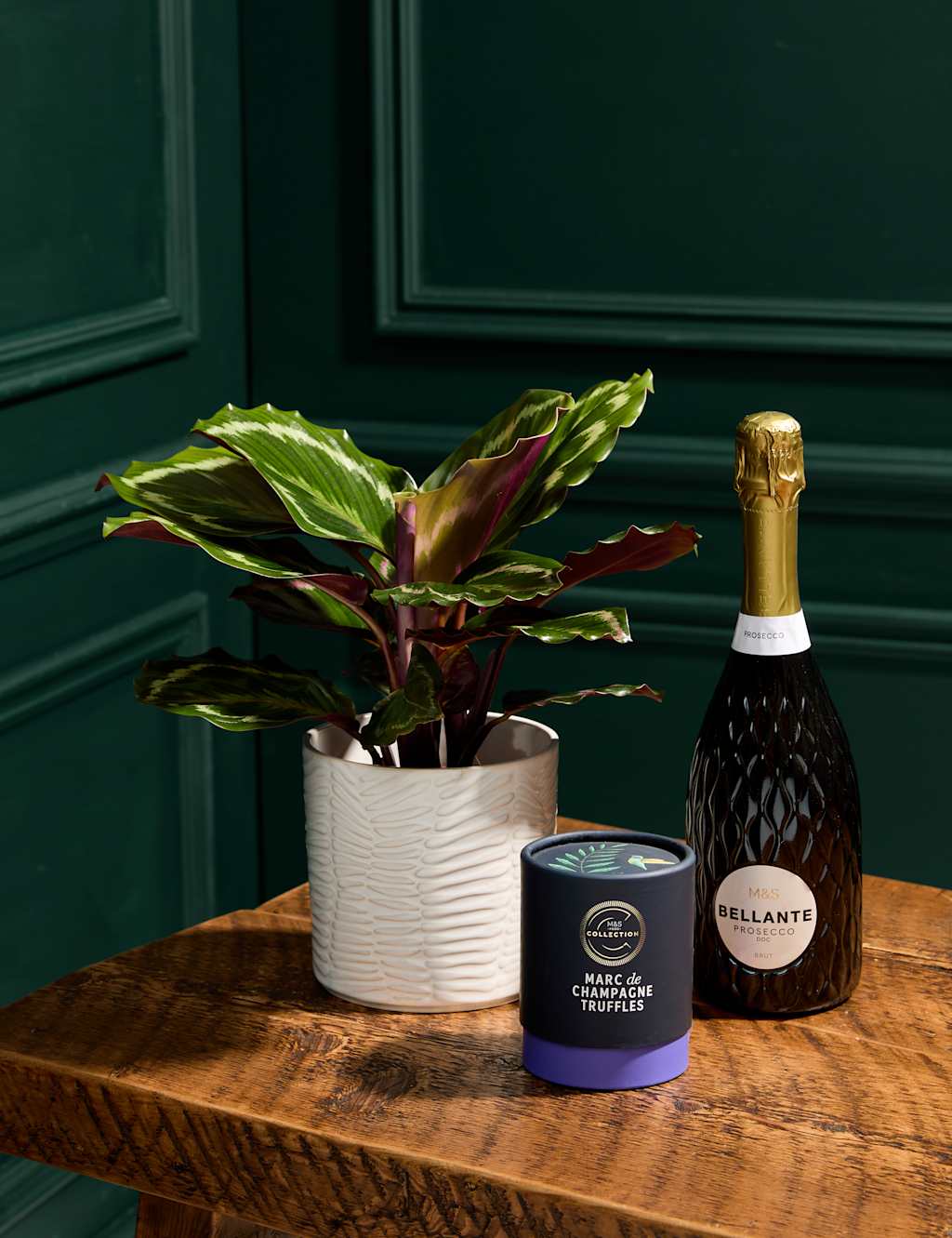 New Home Calathea with Prosecco, Marc de Champagne Truffles & Candle