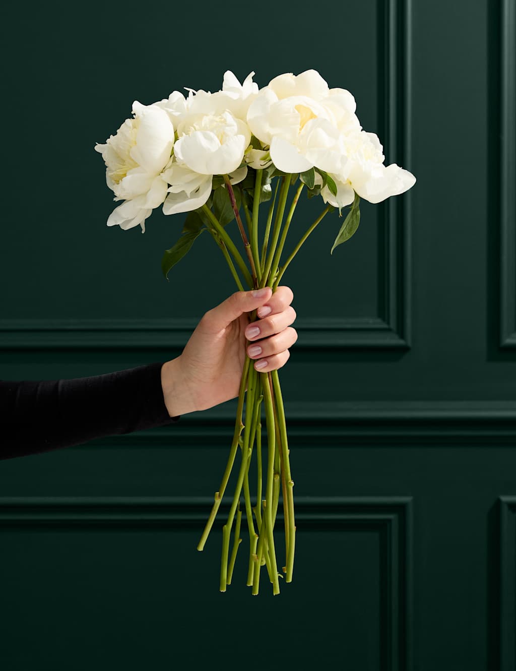 M&S Collection An Abundance of Seasonal White Peonies